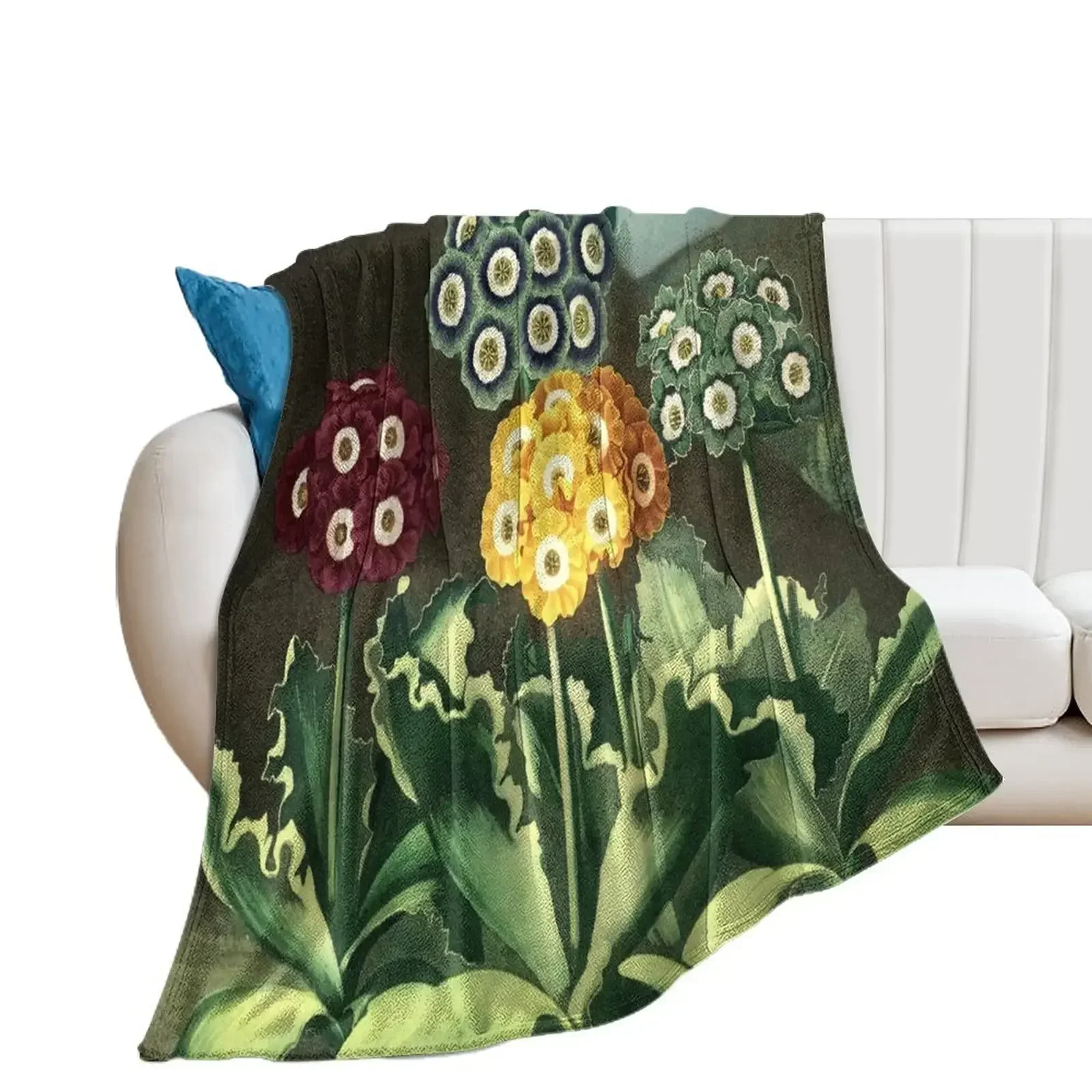 Colorful Auriculas - The Temple of Flora Botanical Throw Blanket christmas gifts Flannels warm for winter Thermal Blankets