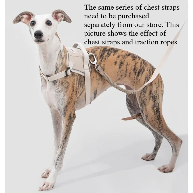 Dog Leash Bungee Buffer Shock Absorbing Hands Free Anti Pull Adjustable Waist Shoulder Strap Dual Clip Pet Walk Heavy Duty
