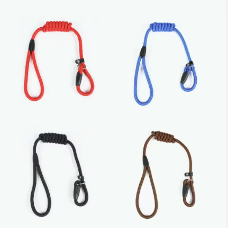 Thumbnail 3 - #47 Best Puppy Leads to Buy In 2026