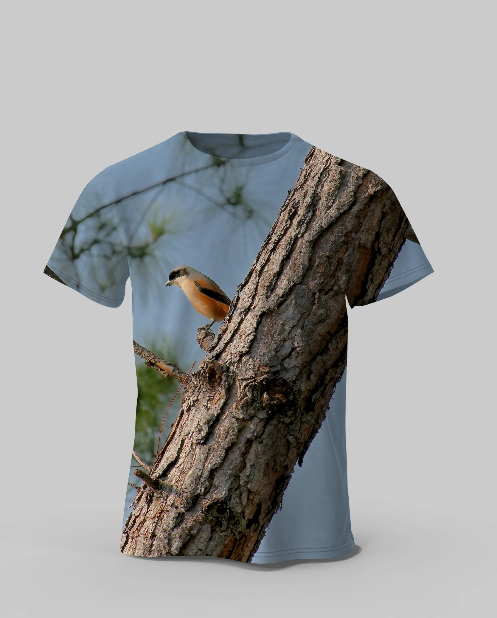Original Cute 3D Bird Printed Sleeve Short for Men T-shirt Oversized Round Clothing Men's Top Tees