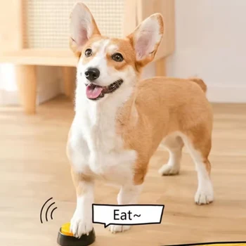 Recordable Dog Talking Button 4
