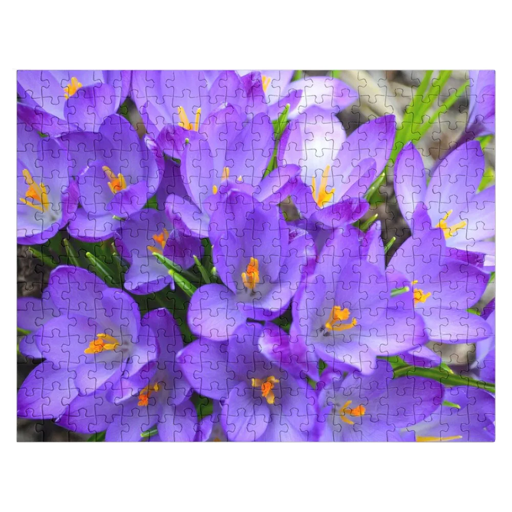 Crocus flowers in spring time Jigsaw Puzzle Christmas Gifts Woods For Adults Custom Gifts Photo Custom Puzzle