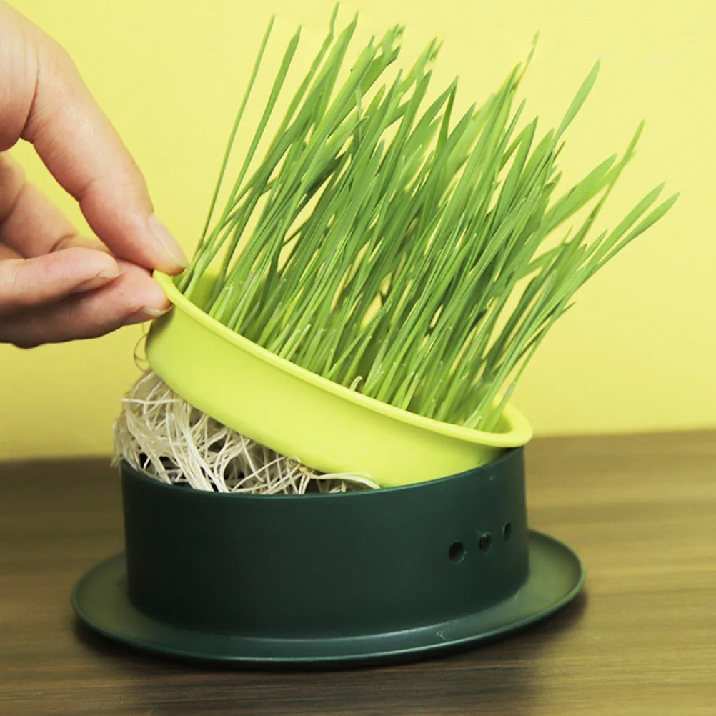 2 Pcs Cat Grass Growing Tray Soilless Hydroponic Seed Box Set Catnip Planter Pot Plastic