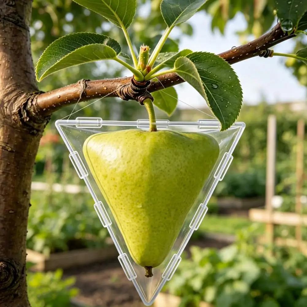 Pear Shaping Mold Transparent Plastic Fruit Shaping Mold Reusable Triangular Cubic Vegetable Growing Molds Unique Garden Tomato