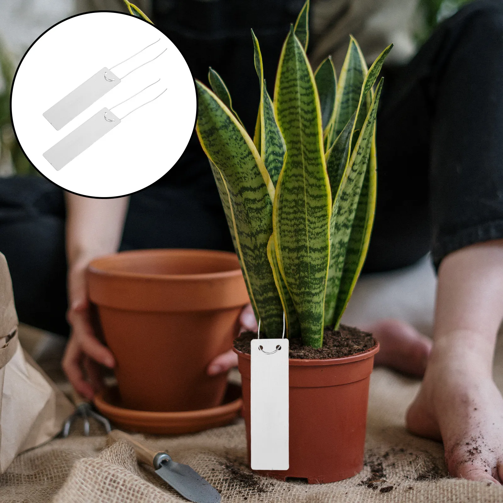 

20Pcs Outdoor Plant Labels Aluminum Metal Tags 3.2 X 1 Inch Weatherproof Garden Vegetable Herb Markers Engraving Fruit