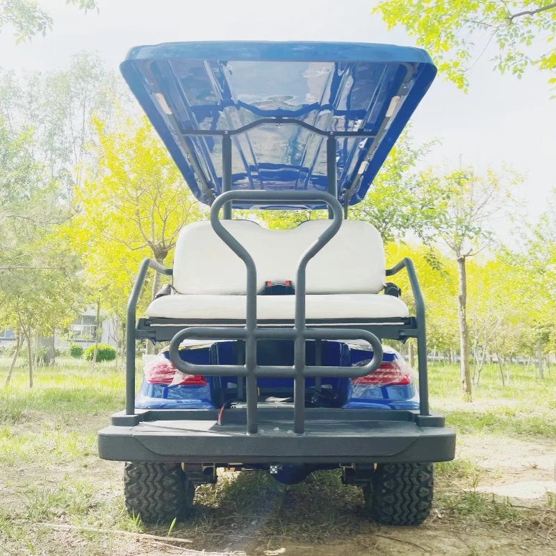 2-Seat Sightseeing Multi-Purpose Off-Road Electric Golf Cart For Sale With 12-Inch Off-Road Tires Side Mirror With Turning Light