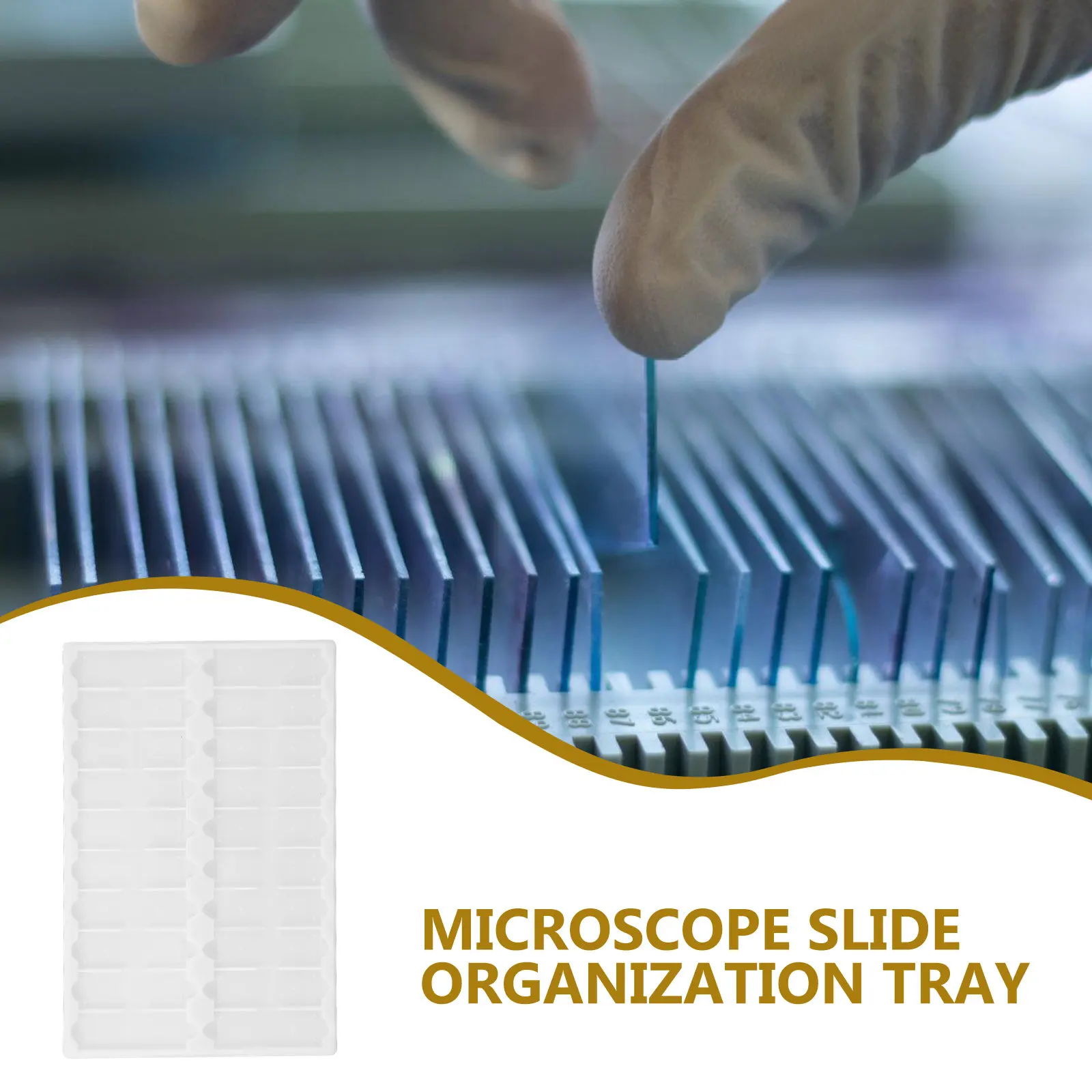 Microscope Slide Storage Cabinet Laboratory Tray Drying Rack PP Accessory Holder