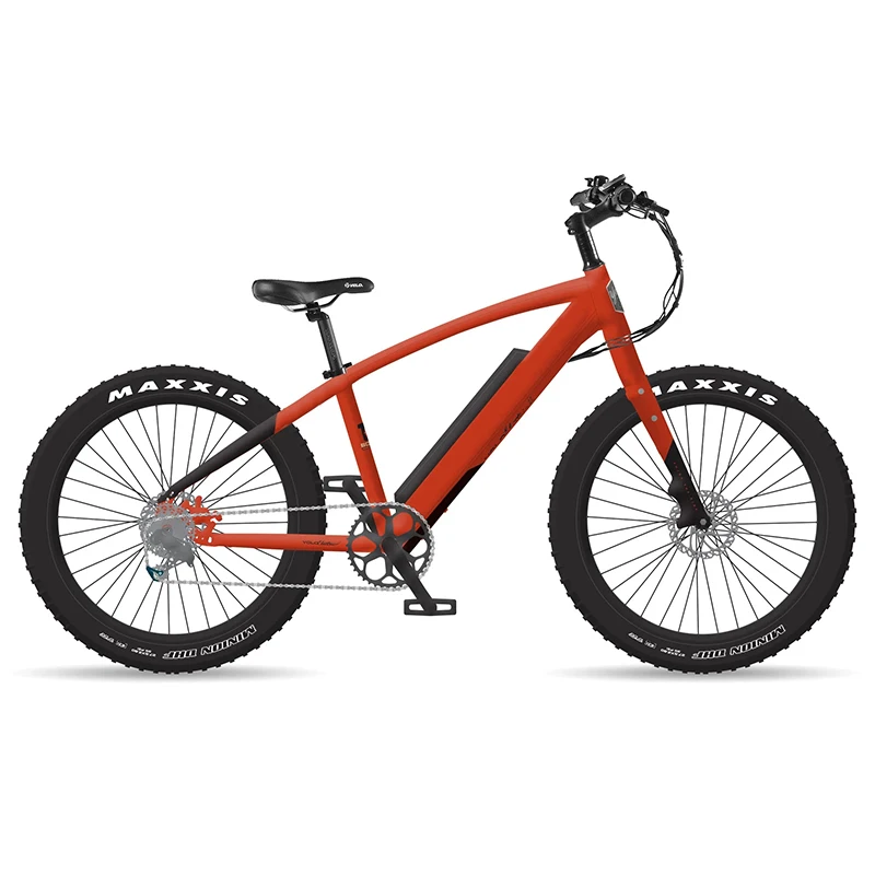 

Mode Elektrische Fahrrad Batteridrevet Elektrisk Cykel Velo Electrique Elektrische Fiets 1000W 26" Fett Reifen lange Distanz