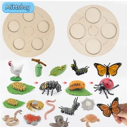 Montessori Wooden Lifelike Insect Animal Life Cycle Board Teaching Plant Animals Growth Cycle Model Set Preschool Cognitive Toy