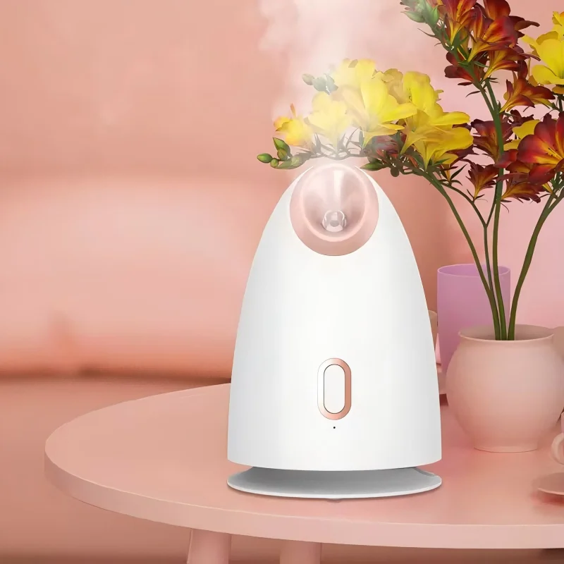 

Heating nano-ion electric humidifier, personal skin and facial evaporator, sprayer, household moisturizing steam steamer tools