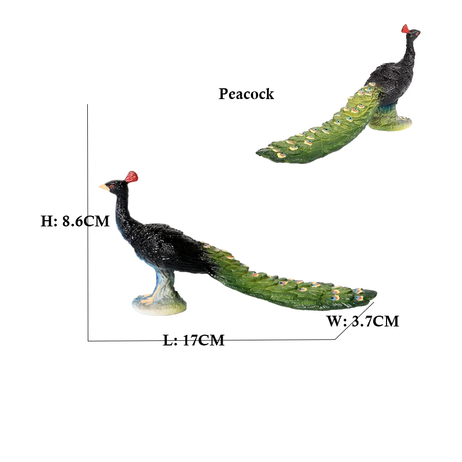 Zwierzęta leśne Flamingo indyk Seahawk Tucan Kiwi figurki ptaków figurki zwierząt z dżungli figurka zabawka plastikowe zabawki prezenty dla dzieci