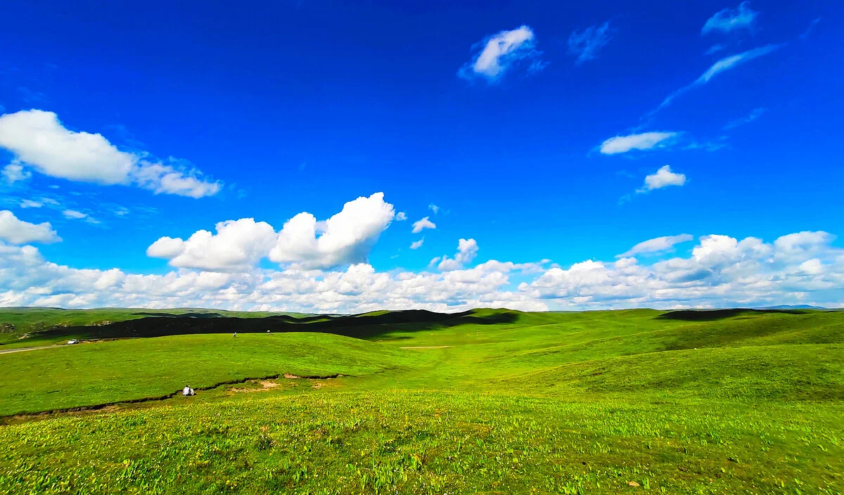 

GEPRC TAKER F722 BLS 65A V2 Stack 4IN1 ESC Flight Controller Data Record Plug & Play for Racing FPV Drones Long-Range