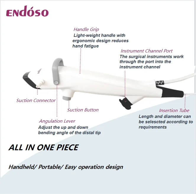 Disinfected Medical Material Disposable Urology Cystoscope Set with Factory Price