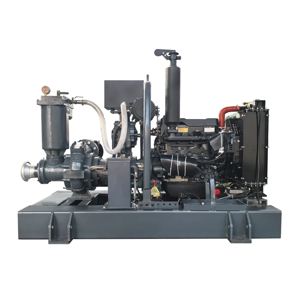 Pompa dell'acqua ad alta aspirazione per drenaggio minerario con generatore ad alto sollevamento a bassa energia