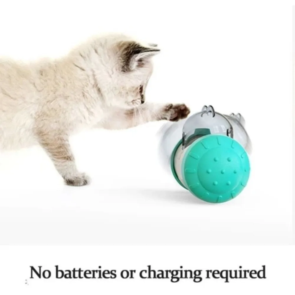 Brain Game Dog Inte… - image