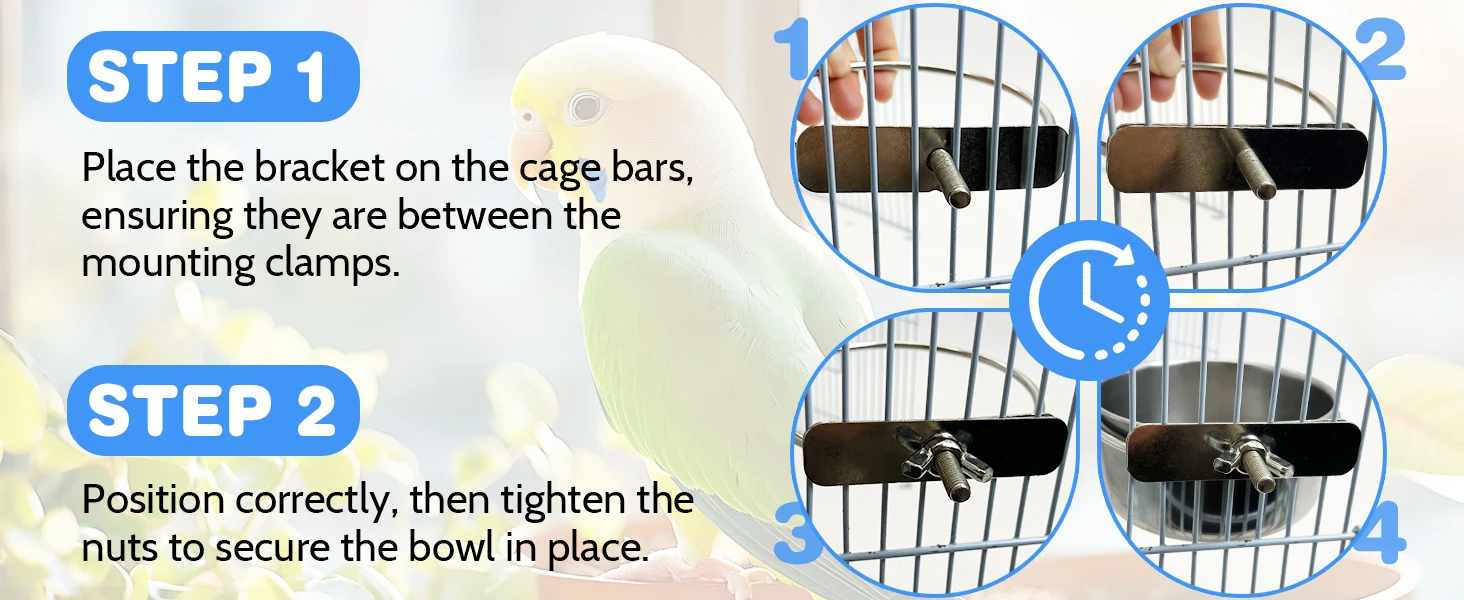 Bird bowl