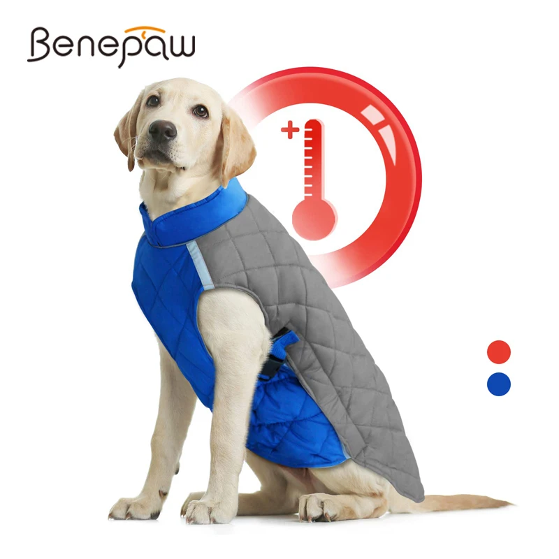 Benepaw Cold Weather Thick  Dog Coat Winter Cozy Waterproof Puppy Jacket Reflective Dog Vest Clothes For Small Medium Large Dogs