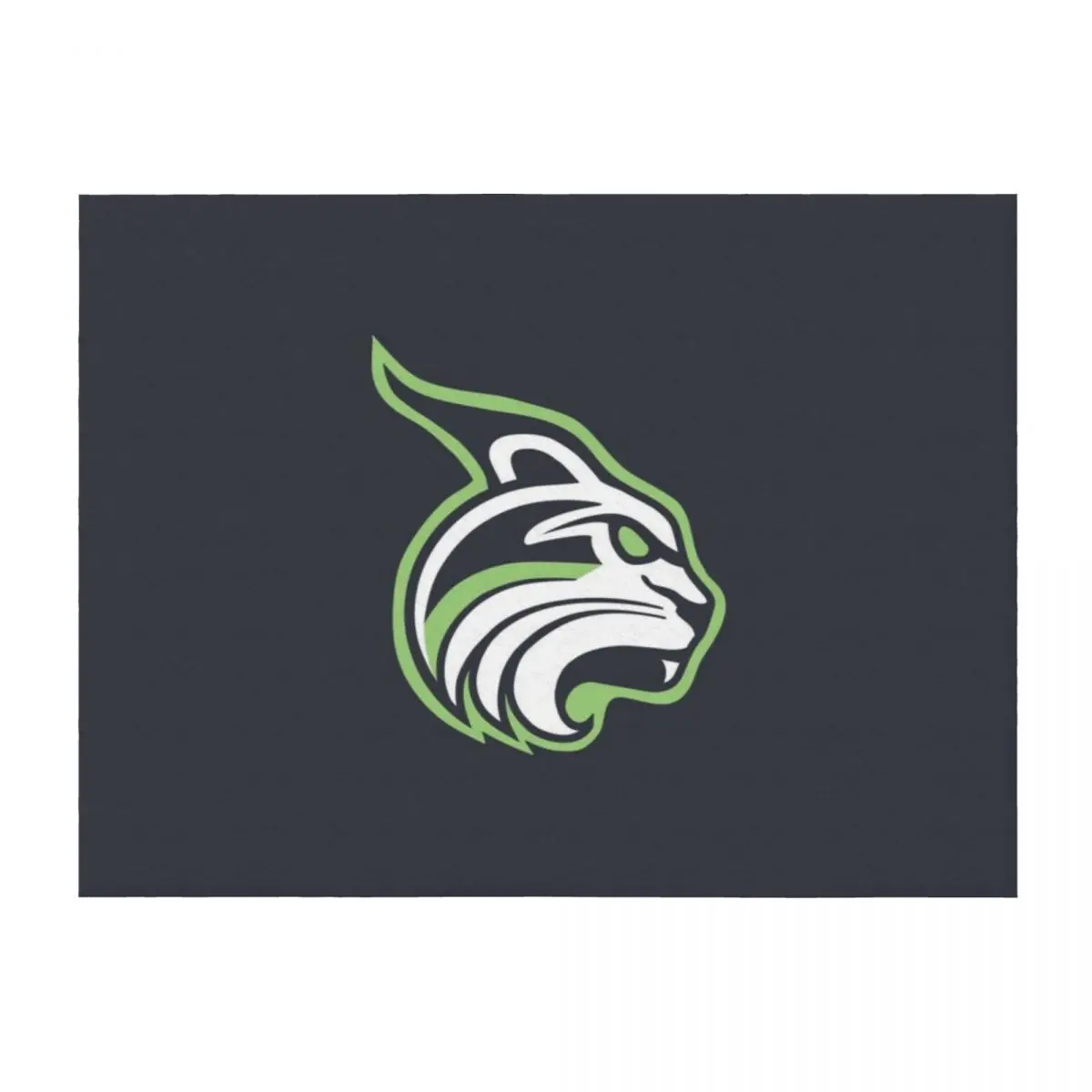 

Cambridge Lesley Lynx Throw Blanket Beautifuls Luxury Brand Thermals For Travel Blankets Sofas Of Decoration Blankets