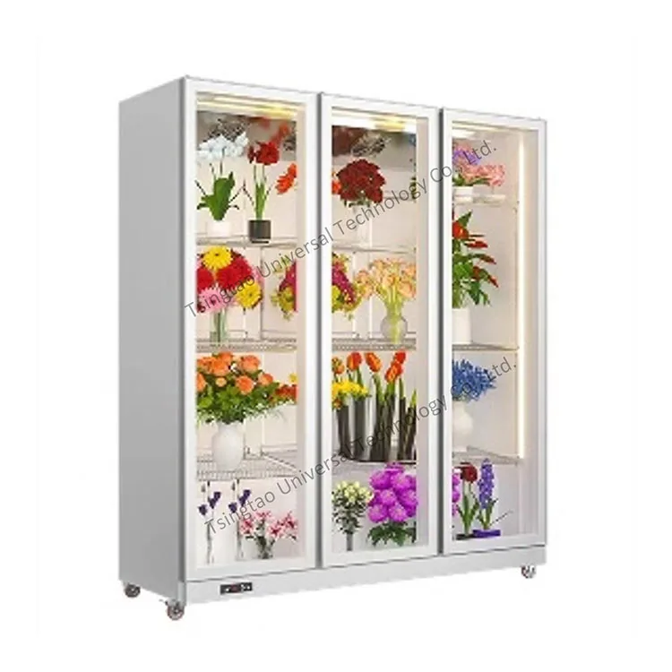 

Refrigerator Display Flower Flower Refrigerated Display Cabinet Flower Cooler
