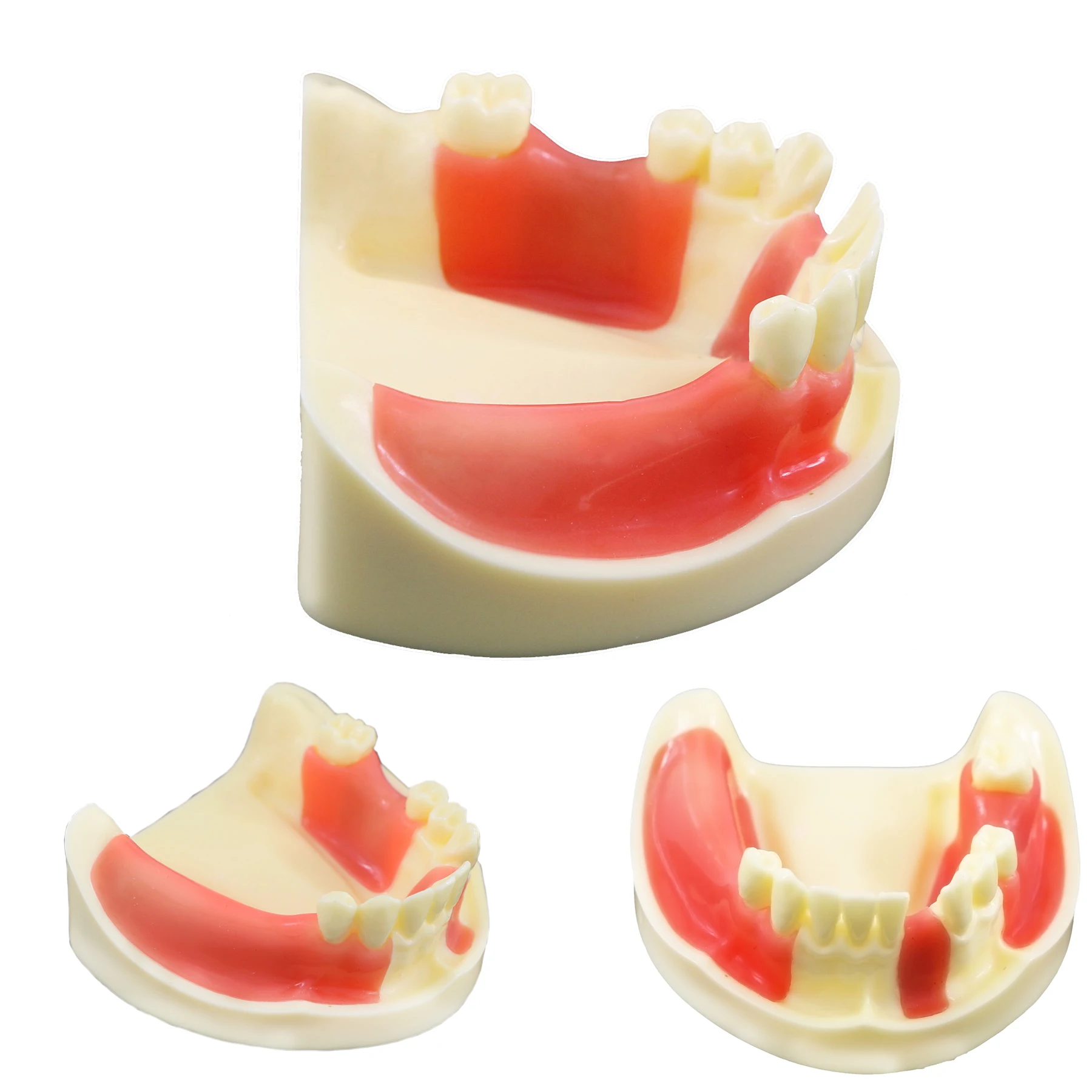 Dental Model For Training Dentistry Dentist Student Practice Cutting Suturing Implant Teeth Models Dental Teaching Model