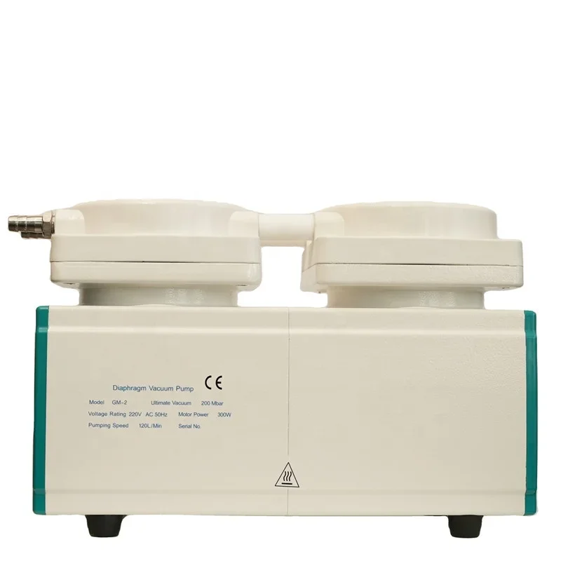 Jinteng Chemical Hot Sale GM-2 Mini Oilless Lab Diaphragm Vacuum Pump 120L/M 220V Motor Power