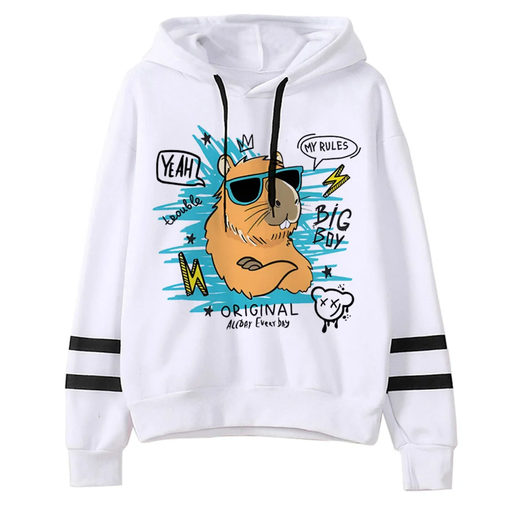 Capybara hoodie Y2K anime sweater comfortable trendy girl pullover printed design graphic