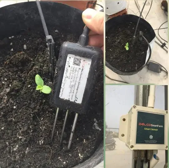 RK520-01 High Quality Industrial Garden Lorawan RS485 Plant FDR Soil Temperature & Moisture Probe Meter Sensor