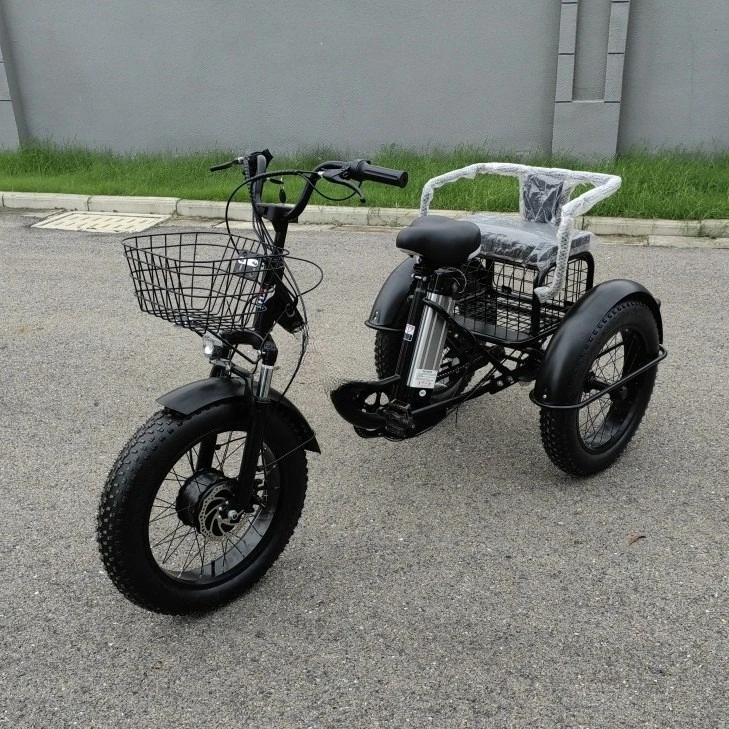 20-inch hot-selling fat tire snow vegetable basket spot lithium battery with rear seat can carry people to help tricycle