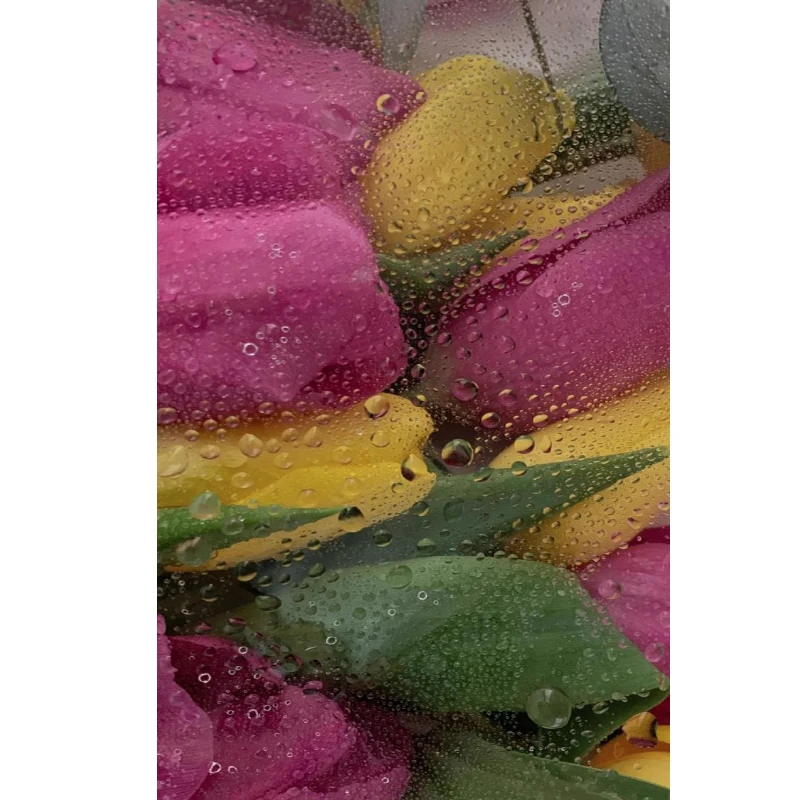 

Умная Wi-Fi розетка Tuya с 4 евророзетками и 4 USB-портами, зарядный порт 5В/3.1А, управление через приложение, совместимость с Alexa и Google Home Assistant