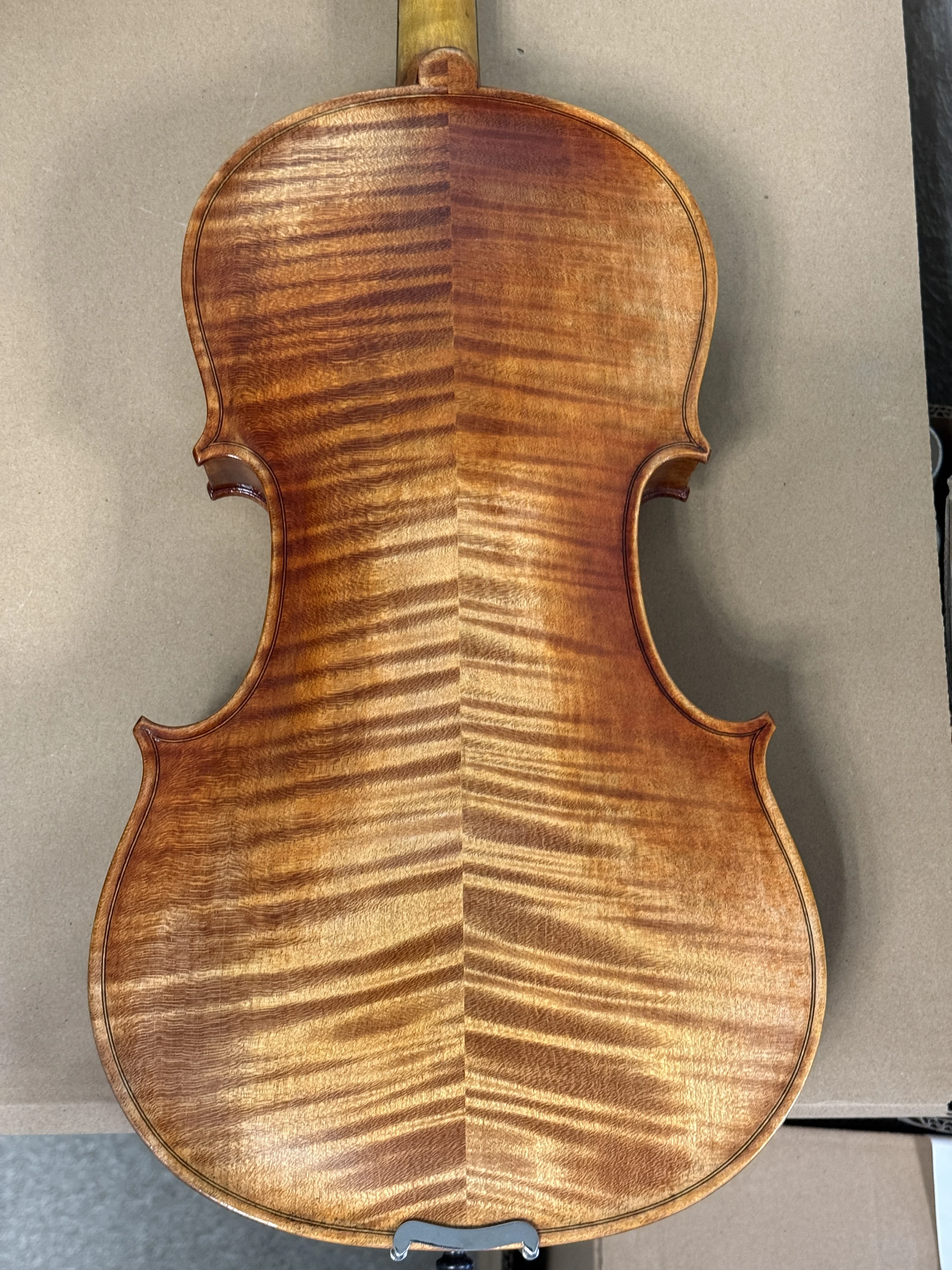 Professional Viola 16inch Full Outfit Case/Bow/Shoulder Rest/Strings, for Adult & Stage Use