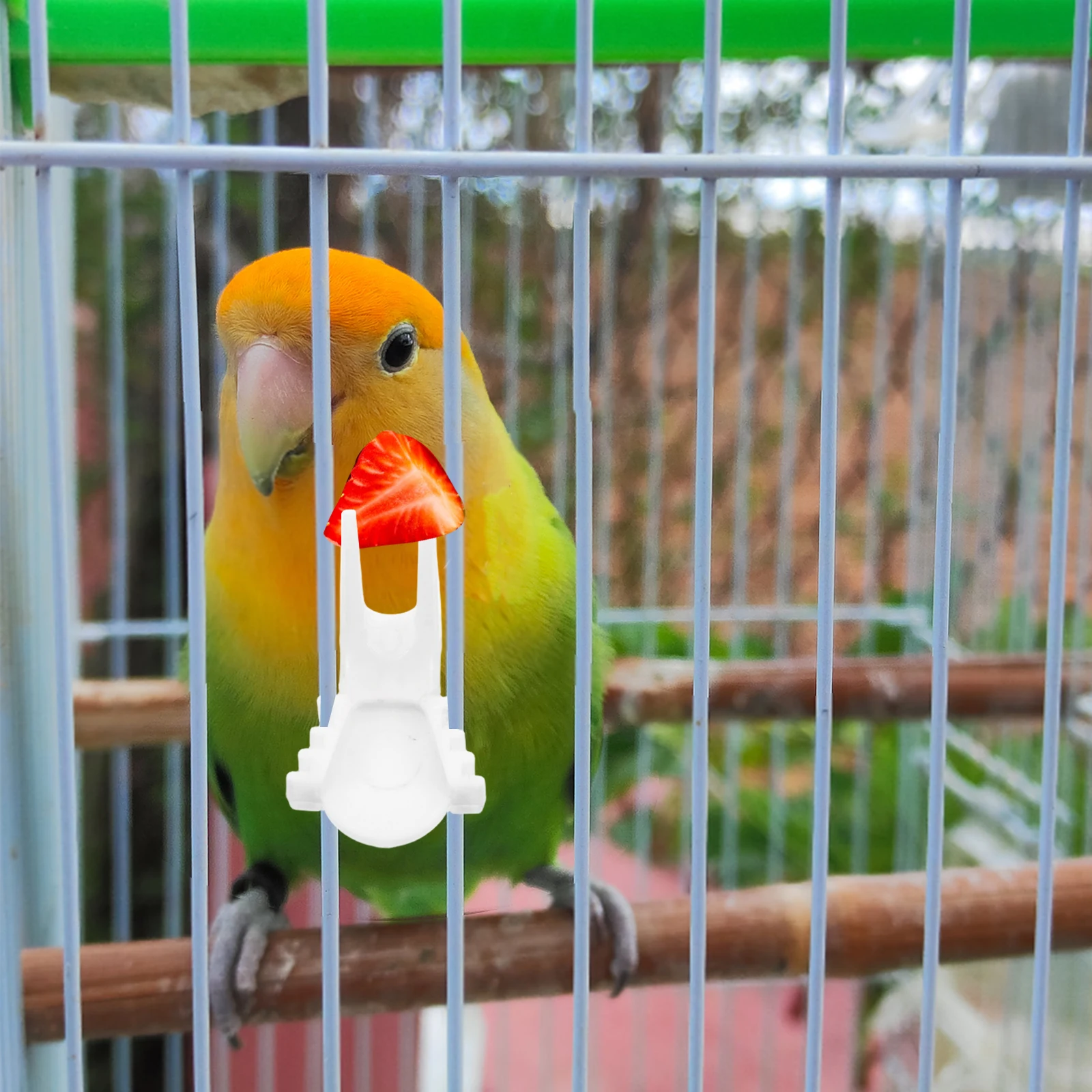 

8pcs Parrot Fruit Fork Feeder Bird Food Holder Cage Vegetable Snack Feeding Tool Safe Easy Clean Bird Cage Accessory Small