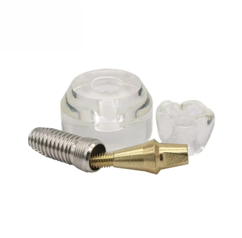 Teaching Model Transparent Crystal Crown Removable Denture Model For Student Learning