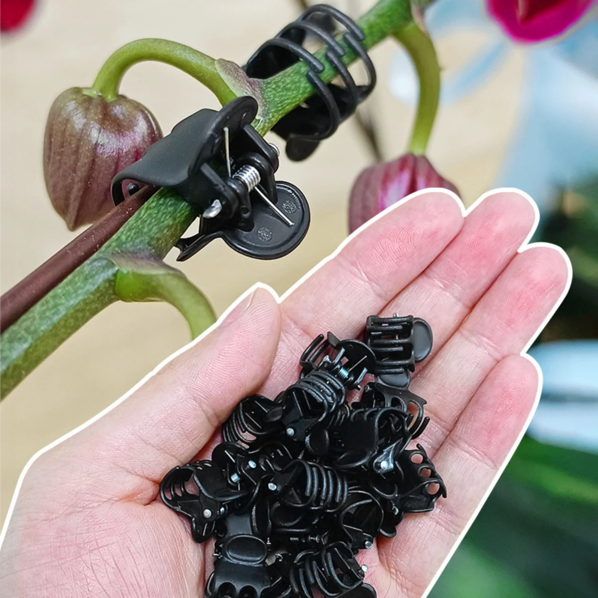 Climbing Plant Flower Vine Cute Clamp Orchid Strawberry Fixed Clip Flower  Stem Supporting Gardening Shaping Tool 20/200 Pcs