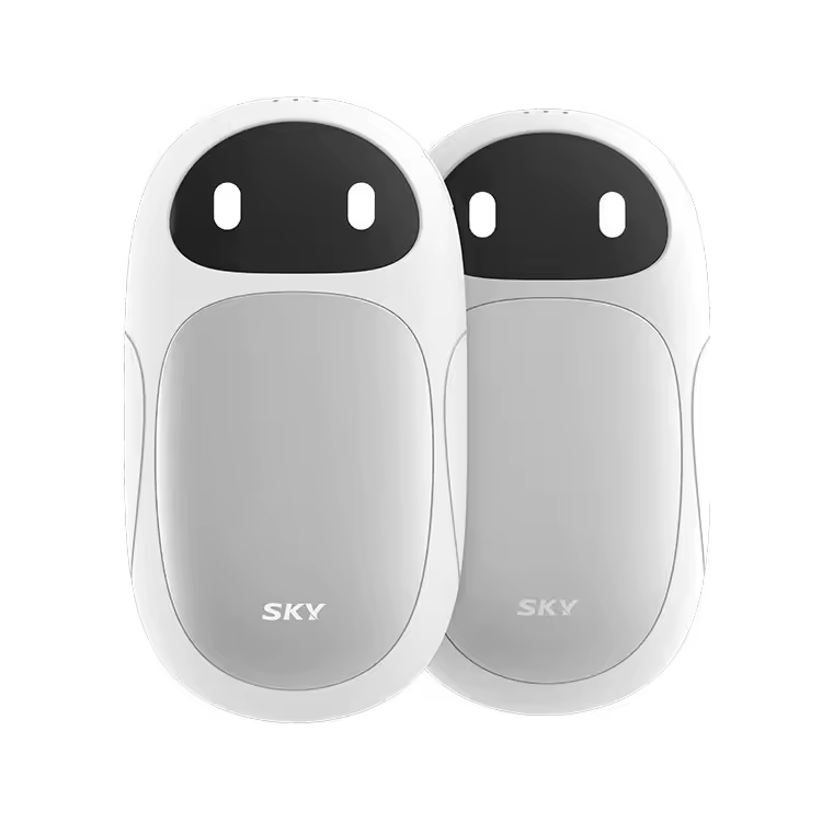 3. 스카이 로보 2..