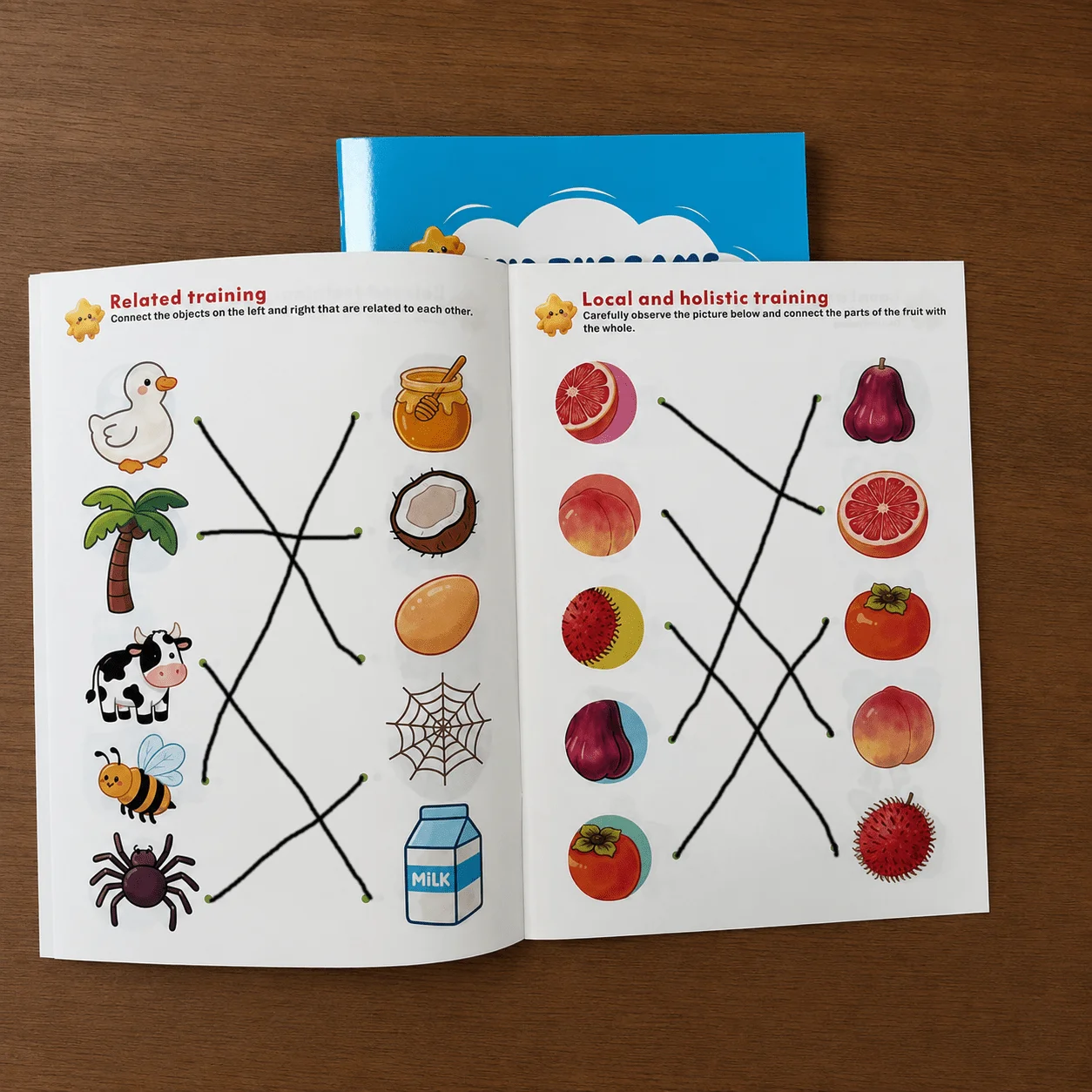 Find the Same & Related Connections Workbook Set: Observation, Logic & Concentration for Kids