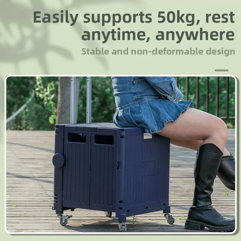 Portable Folding Shopping Cart Vegetable Buying Stall Pulling Car Camping Picnic Small Cart Stall Barbecue Tool Home Use