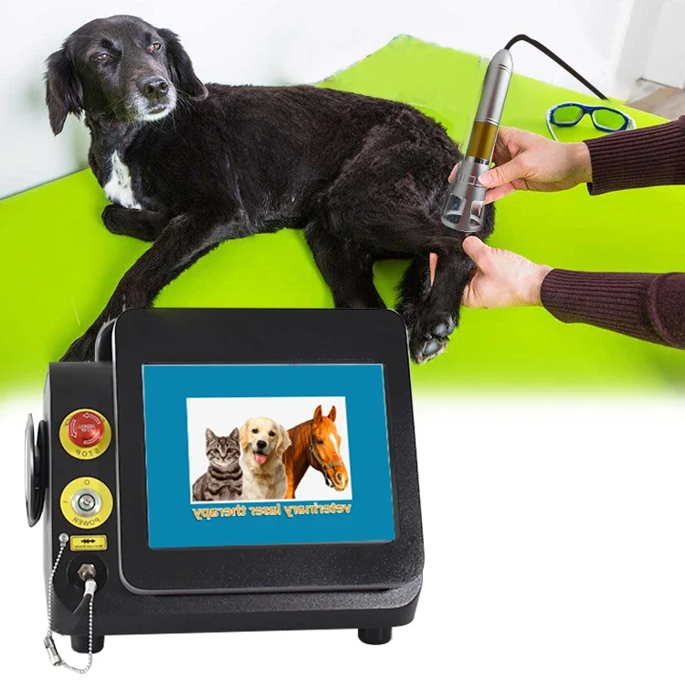 Veterinary Physiotherapy Equipment for Dog/cat/horse/pet Animal Wound Healing 980nm