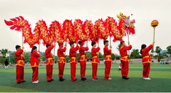 Game Dragon Dance 10m no includ poles size 5 Silk 8 Players Children Student Event Halloween Party Performance Parade Folk Stage