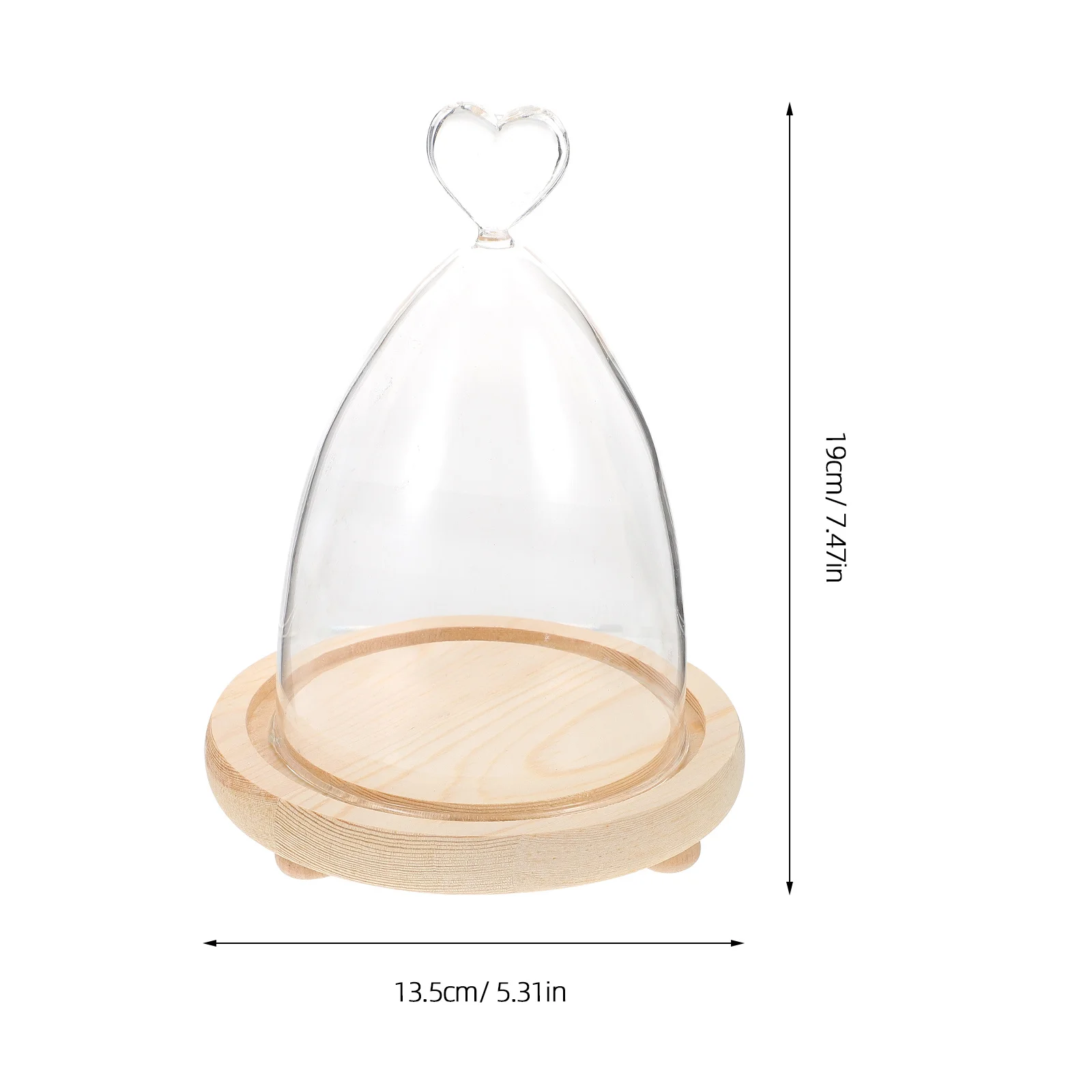 

Glass Dome with Wood Base Micro Landscape Vase for Artificial Plants Display Home Office Decor Transparent Design Fine