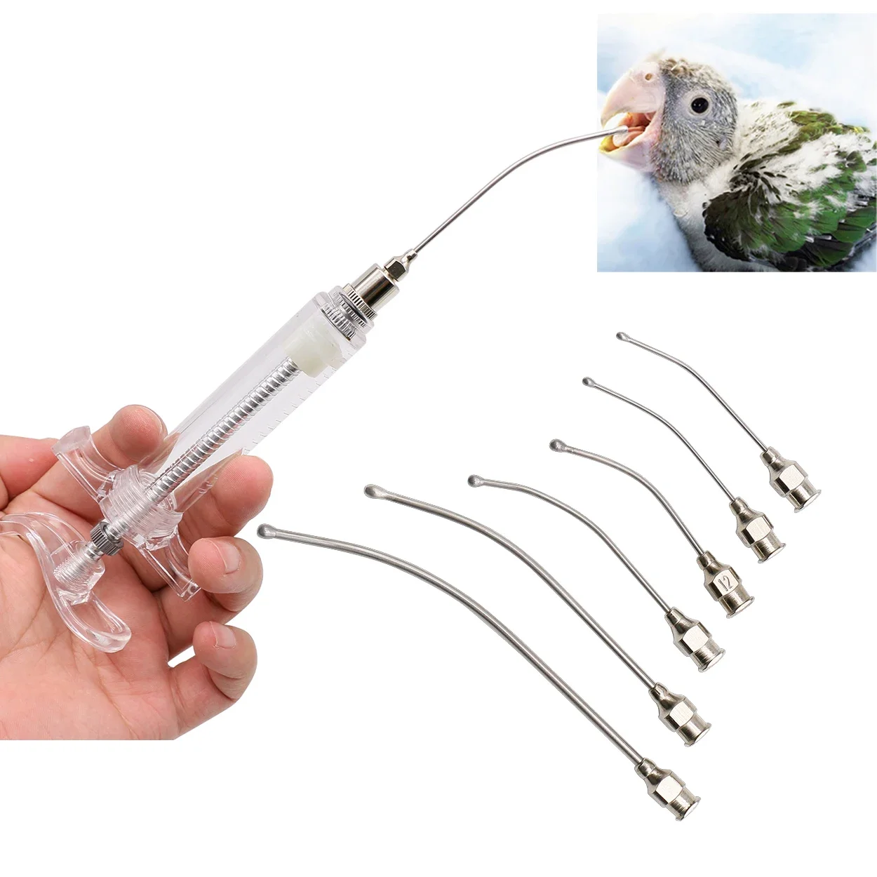 Karmienie Rearing Gavage Crop Needle Parrot Pigeon Bird Drób Karmienie Injection Armatura 10ml/20ml Strzykawki do karmienia ptaków