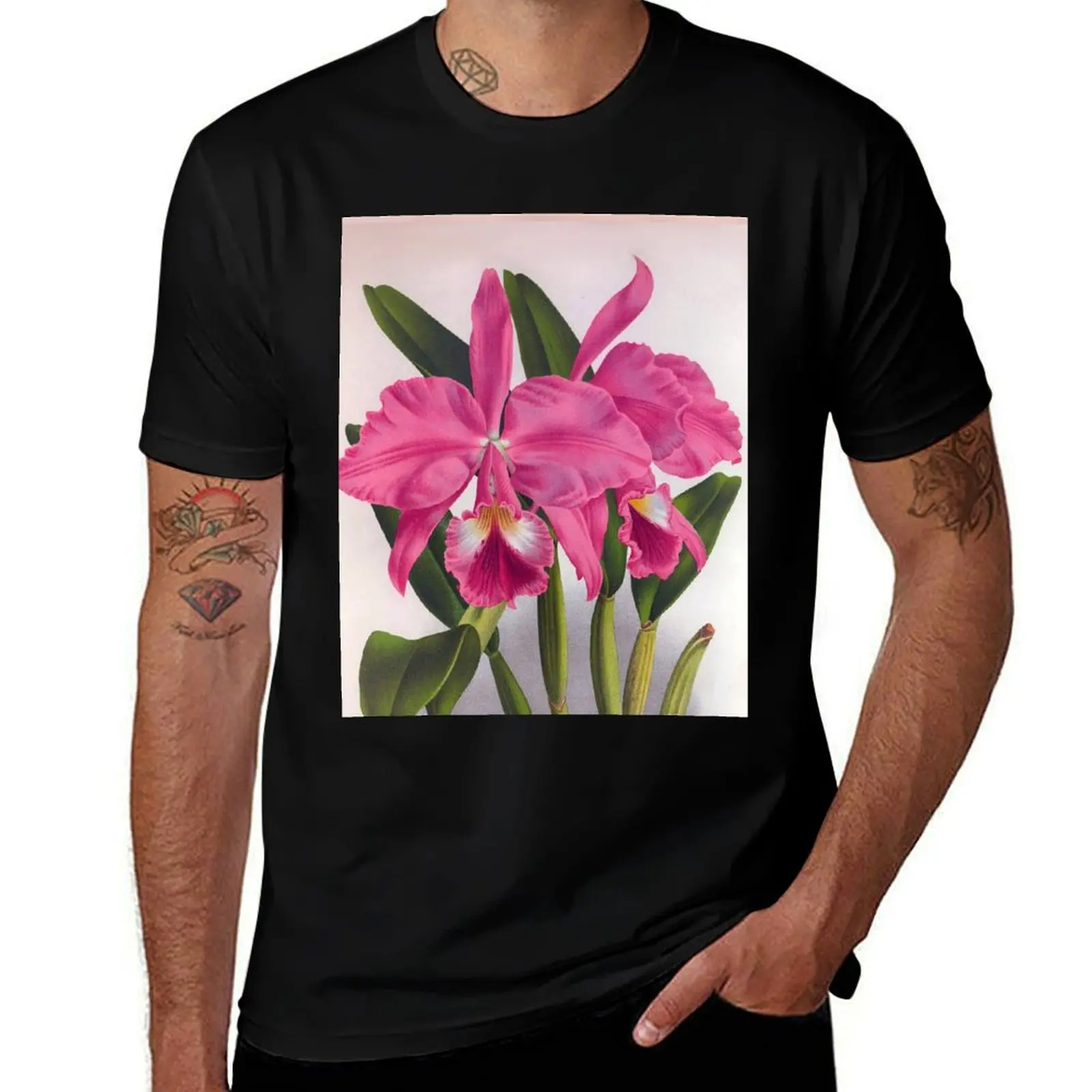 

Cattleya Labiata Vintage Deep Pink Orchids T-Shirt plus size clothes anime t shirts mens clothes
