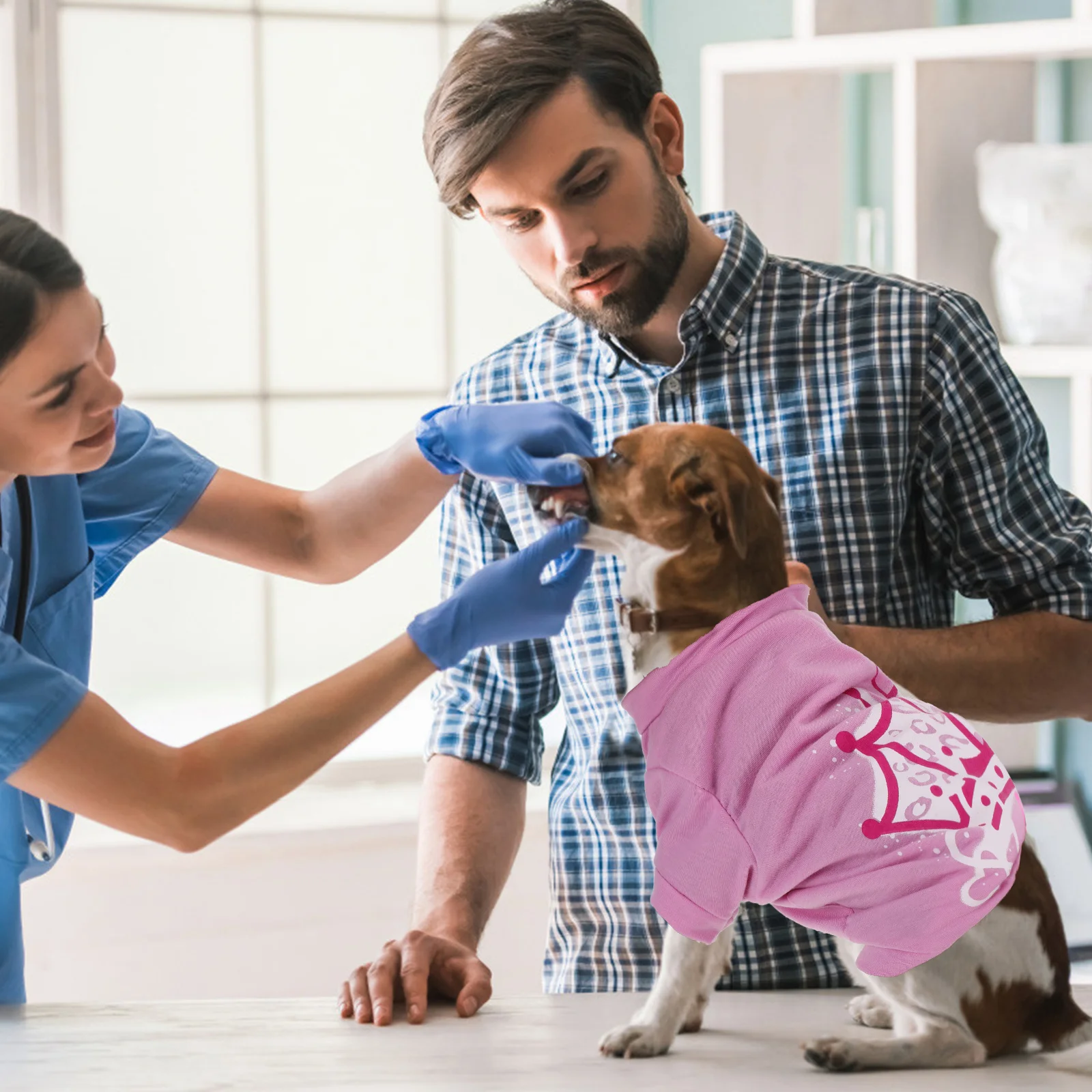 

4Pcs Pet Dog Pullover Summer Outfit Lightweight Comfortable Wear Cute Stylish Design Indoor Outdoor Activities