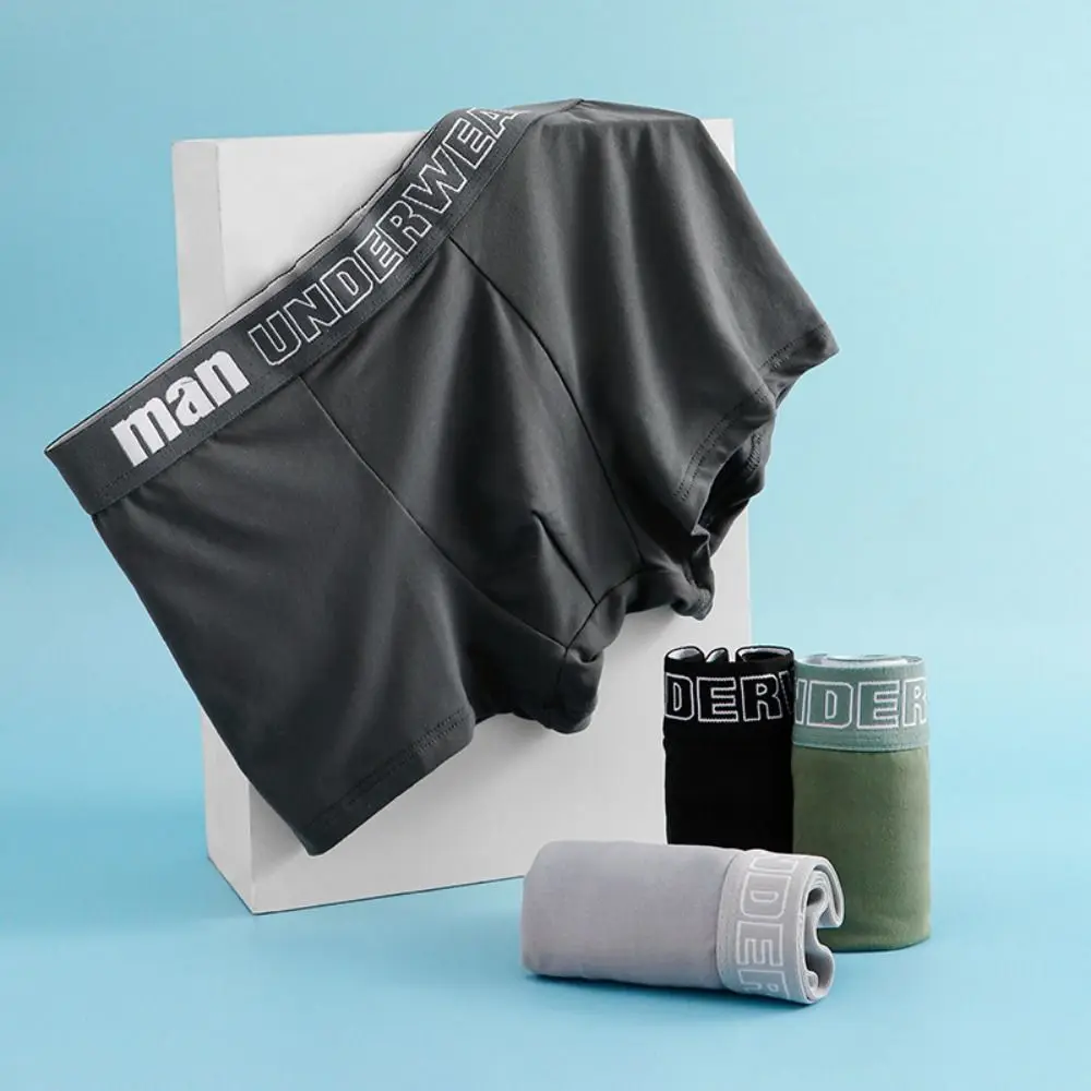 4 قطعة مريحة حجم كبير الرجال الملاكم ملخصات منتصف الخصر الملابس الداخلية السراويل السروال سلس إلكتروني سراويل الهدايا
