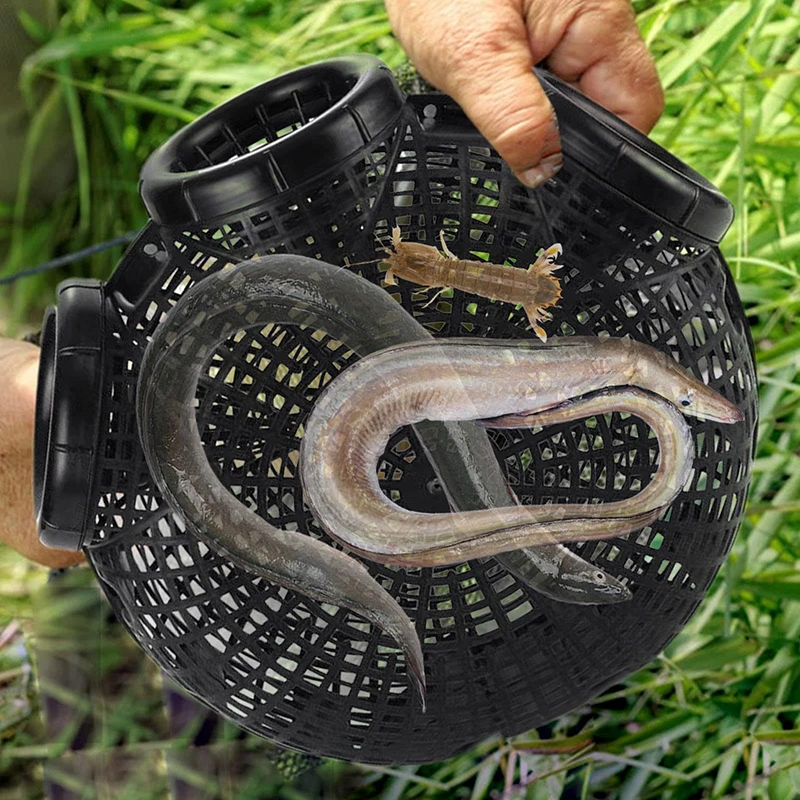 Black Fish Net Cage Fishnet Finless Eel Loach Trap Fishing Pot Hard-swearing Plastic Container Mud Cage Container Fishing Traps