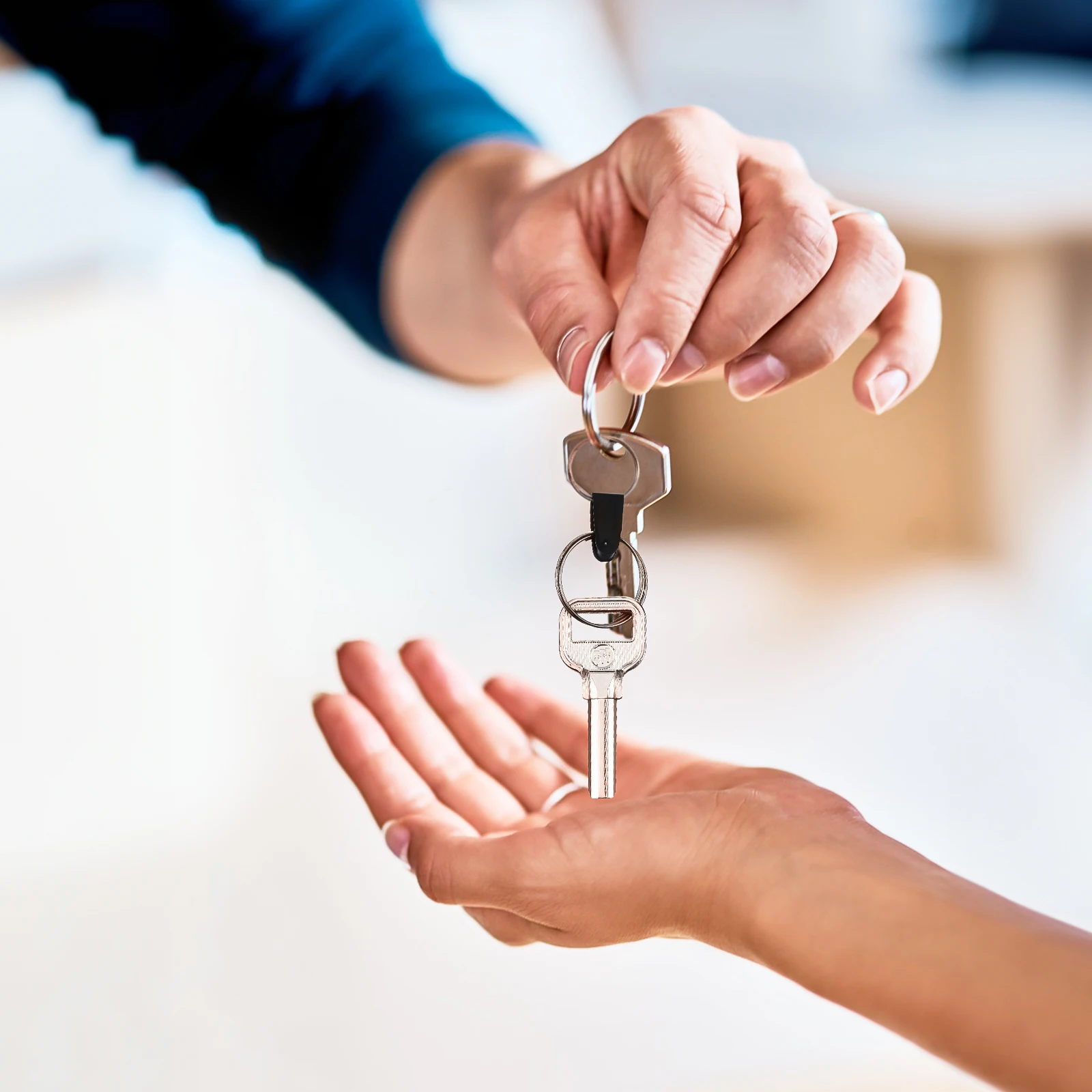 

Clips 50 Transparent 50 Black Durable Foldable Plastic Keychain Clip Keyring Connectors Badge Holder Accessories