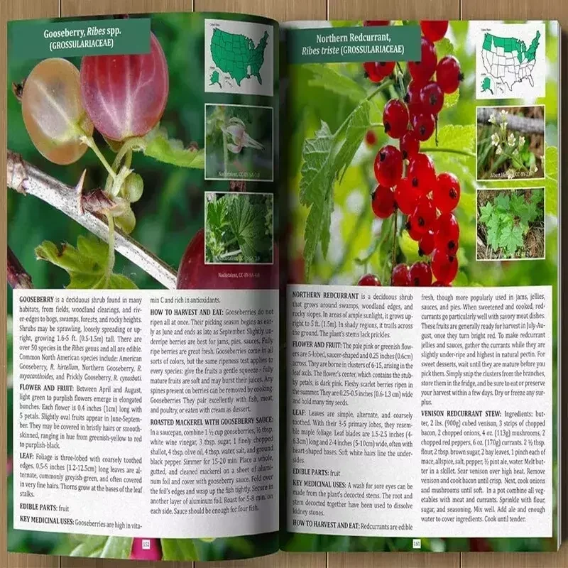 2021 Wild Food Forager's Guide - A5 Size (US)