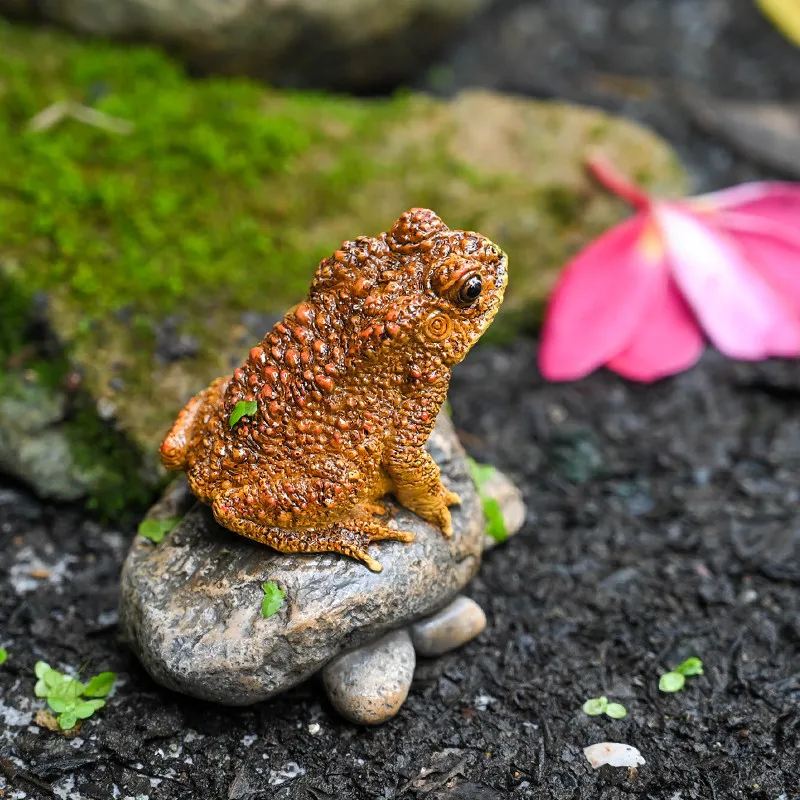 Lucky Fortune Toad Statue On Stone Realistic Feng Shui Decor For Garden Bonsai Micro Landscape Desk Ornament Perfect Gift For
