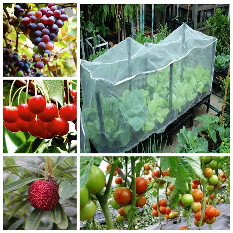 

100 Mesh Bug Insect Bird Net Barrier Vegetables Fruits Flowers Plant Greenhouse Garden Netting Plant Protection Network