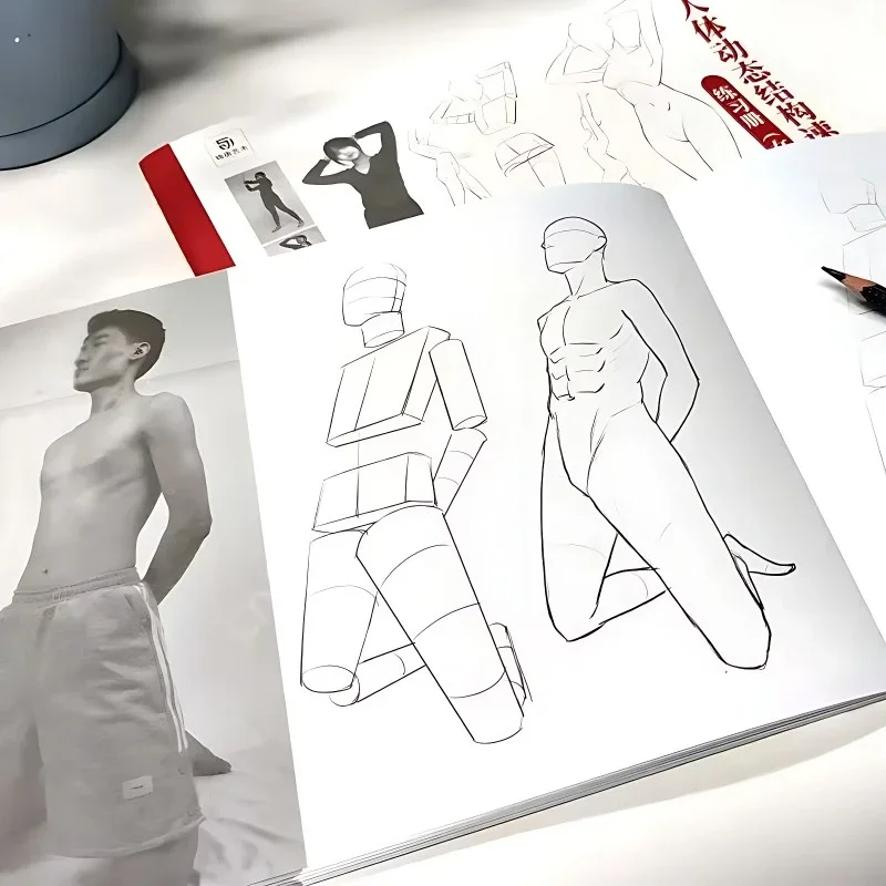 Human Body Dynamic Structure Hand-painted Tutorial Book Sketch Tracing Book Dynamic Anatomy Comic Character Painting Tutorial