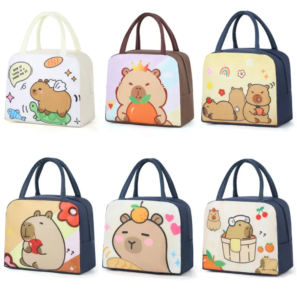 Large Capacity Insulated Lunch Bag Multicolor Waterproof Aluminum Foil Handbag Cartoon Pattern Insulated Lunch Box Bag Worker